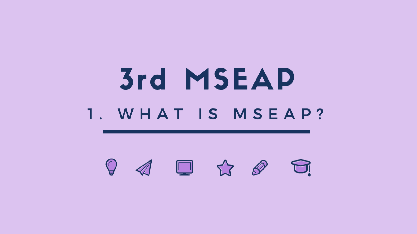 1. Brief Explanations of the MSEAP